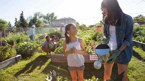 Woman and child watering plants in the sunshine.